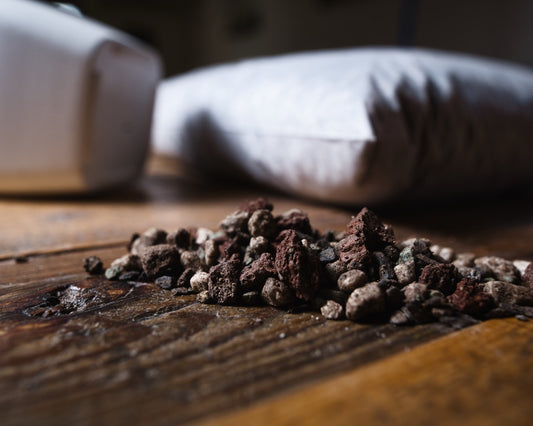 תערובת גידול סמי הידרופונית לצמחי בית - קלוז אפ